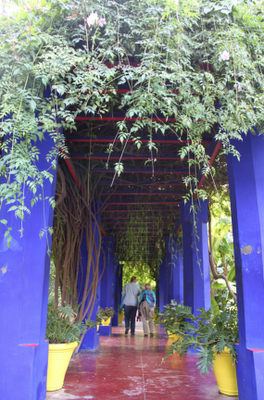 Majorelle Gardens continued...