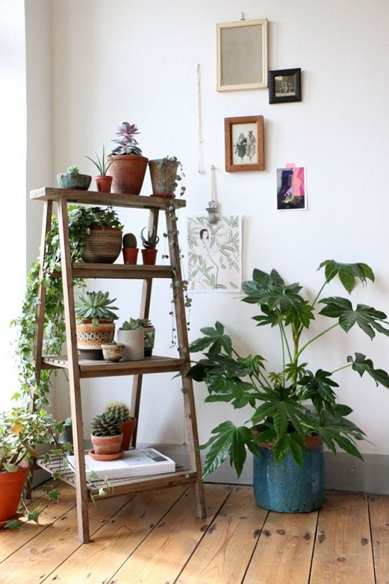 Interiors Roundup - Pretty Plants!