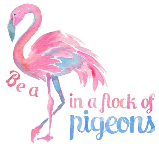 Friday Inspiration - Be A Flamingo!