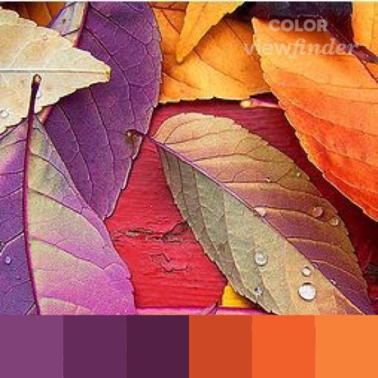 Tuesday Inspo - Autumn Colour Palettes!