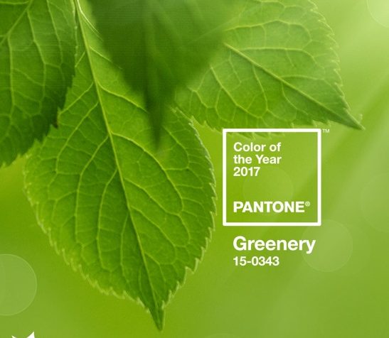 Friday Inspo - Pantone Colour of the Year!