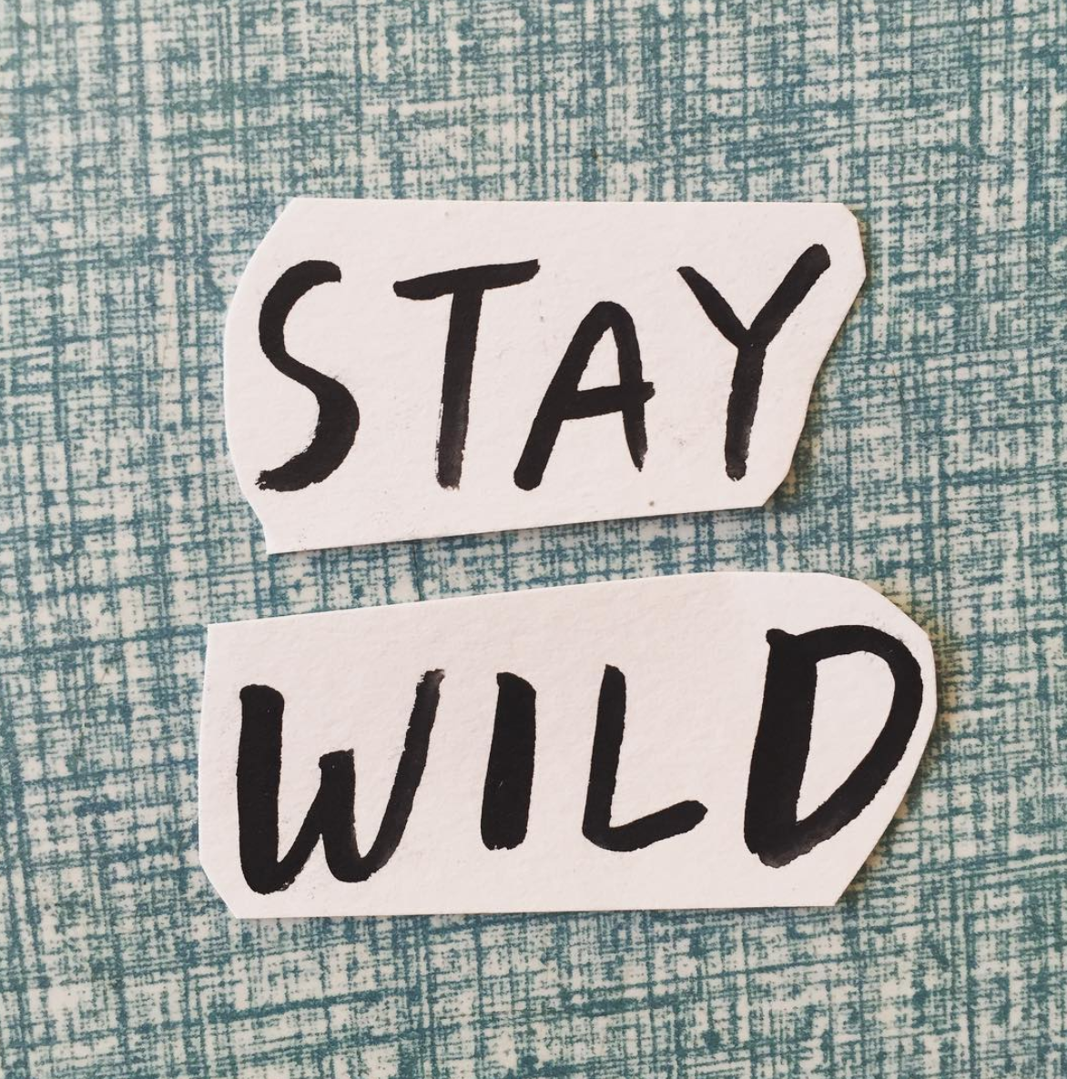 Friday Inspo - Stay Wild!