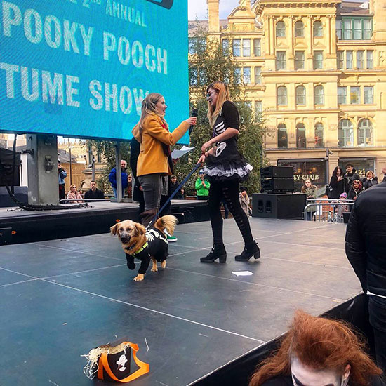 Spooky Pooch Show! - Halloween in Manchester
